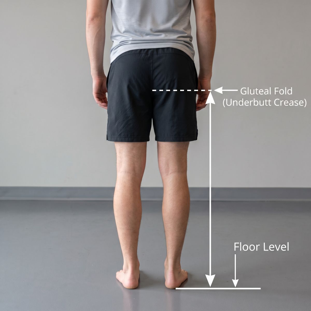 Illustration showing full leg length measurement